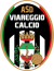 logo Croce verde Viareggio